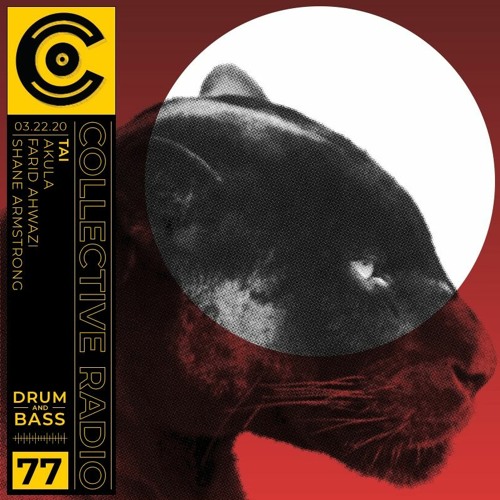 Episode 77 - D Cover